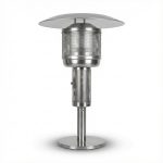 عکس هیتر قارچی (هیتر چتری) رومیزی